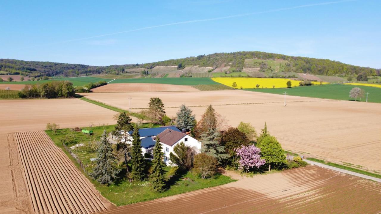 Ferienwohnungen Rosenhof Карлщат Екстериор снимка